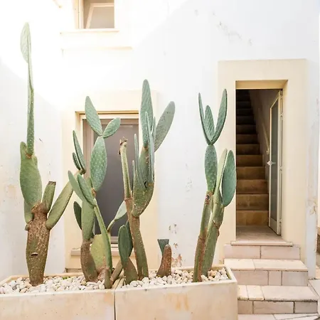 Petra Domus Private Holiday home Veglie